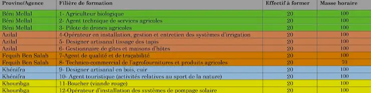 Formation Gratuite Courte Durée GIZ et ANAPEC